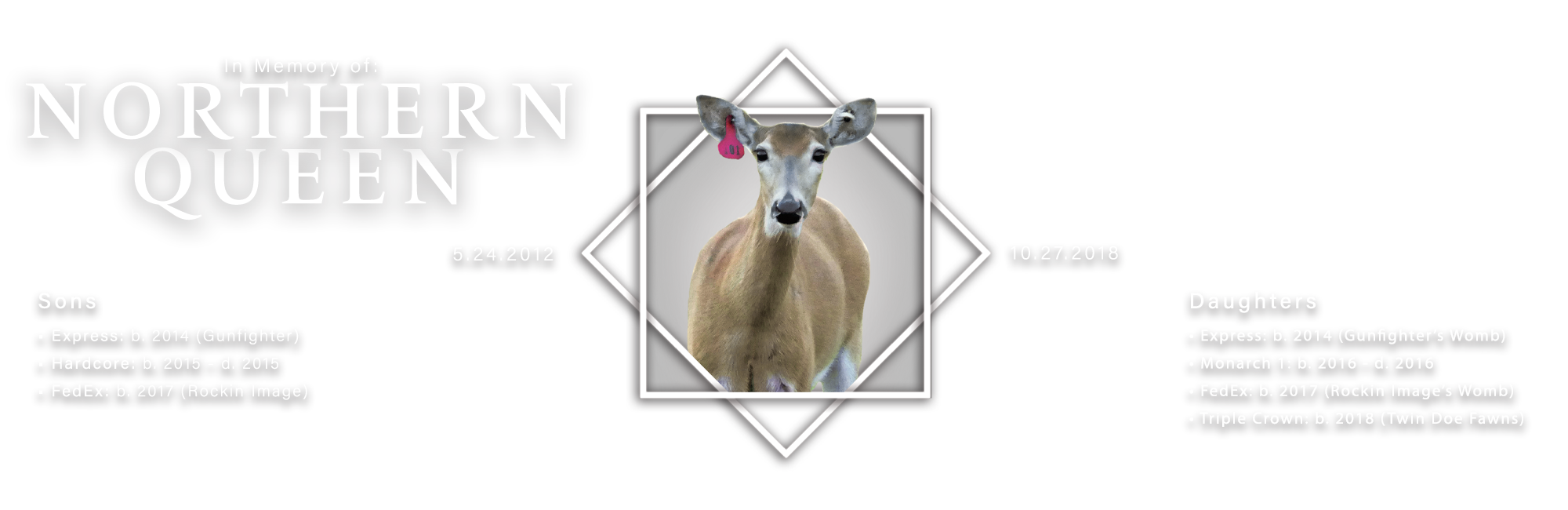 The Northern Queen deer died in 2018 but has two surviving sons and three surviving daughterss